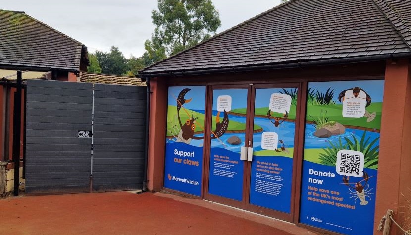 Marwell Zoo UK Native Species Zone